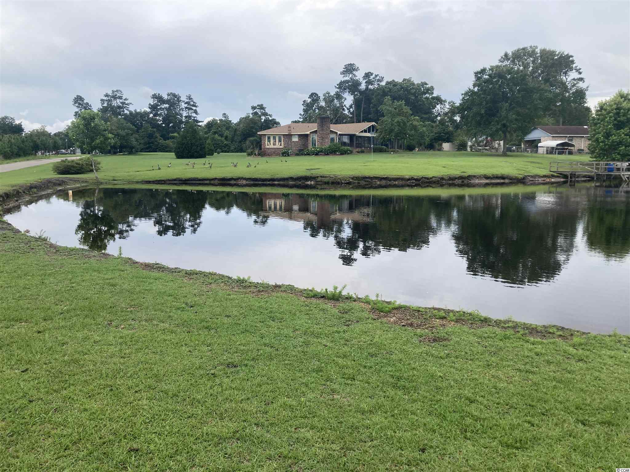 115 E Marion St., Johnsonville SC 29555 House for Sale in