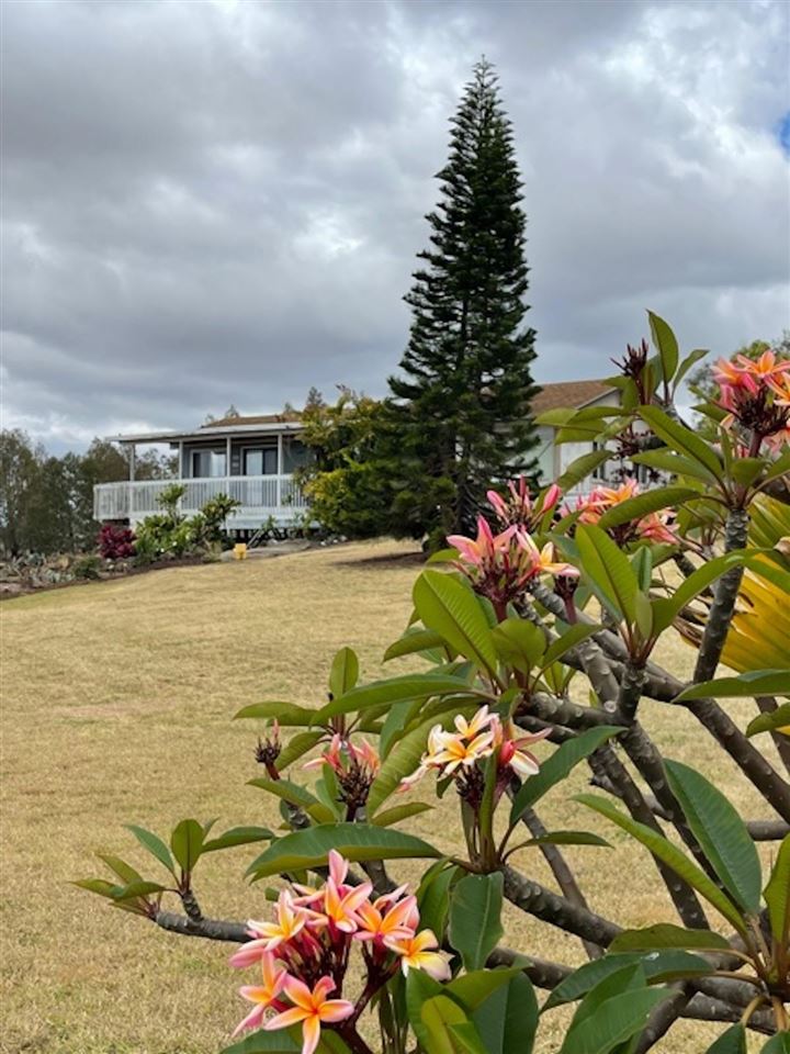 36 Hiipali Loop, Kula HI 96790 House for Sale in Kula, HI