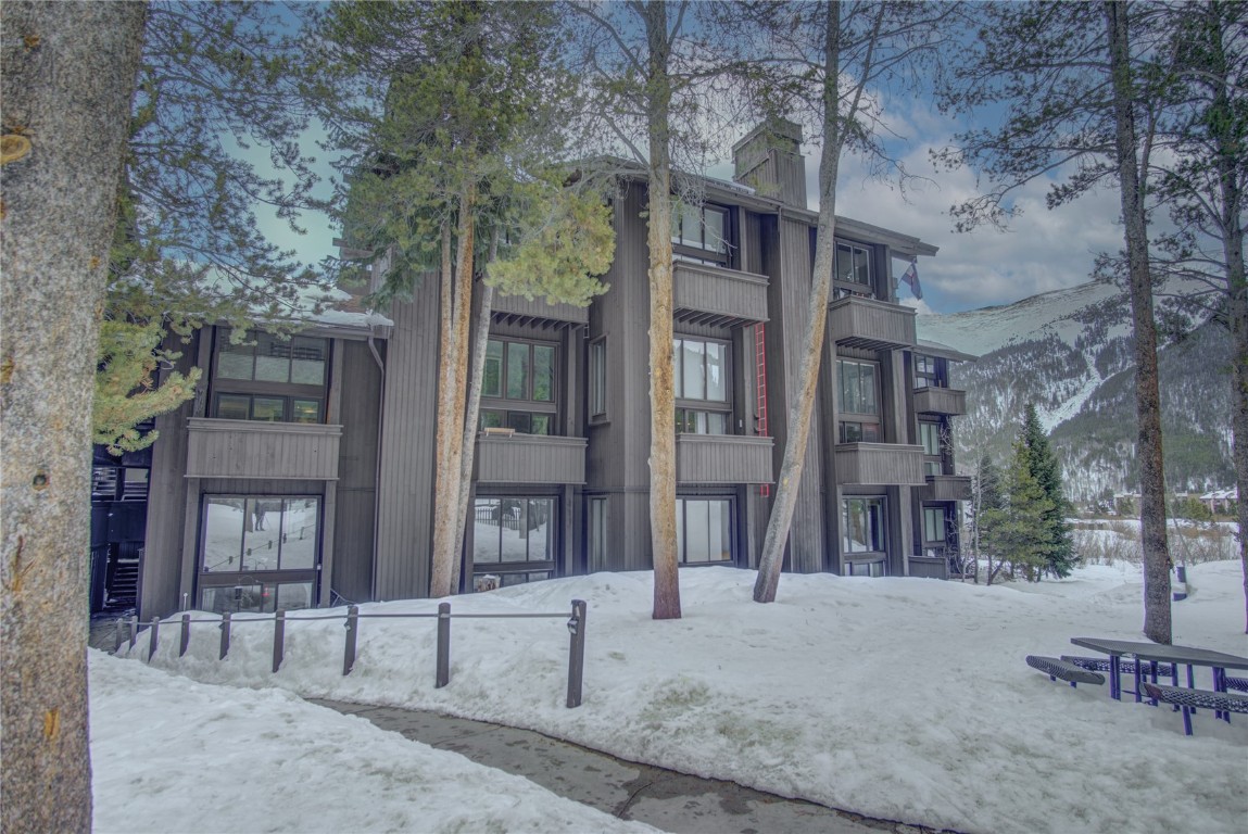 Copper Mountain, Colorado Homes for Sale